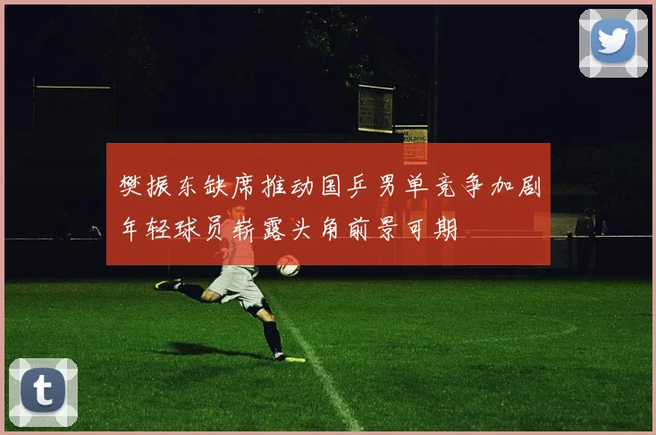 樊振东缺席推动国乒男单竞争加剧年轻球员崭露头角前景可期